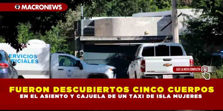 FUERON DESCUBIERTOS CINCO CUERPOS EN EL ASIENTO Y CAJUELA DE UN TAXI DE ISLA MUJERES
