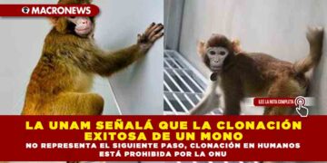 LA UNAM SEÑALÁ QUE LA CLONACIÓN EXITOSA DE UN MONO NO REPRESENTA EL SIGUIENTE PASO, CLONACIÓN EN HUMANOS ESTÁ PROHIBIDA POR LA ONU