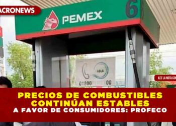 Precios de combustibles continúan estables a favor de consumidores: Profeco