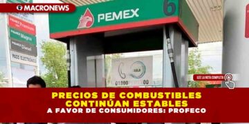 Precios de combustibles continúan estables a favor de consumidores: Profeco
