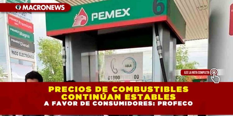 Precios de combustibles continúan estables a favor de consumidores: Profeco