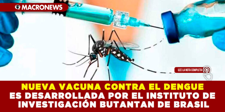 NUEVA VACUNA CONTRA EL DENGUE ES DESARROLLADA POR EL INSTITUTO DE INVESTIGACIÓN BUTANTAN DE BRASIL