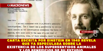 CARTA ESCRITA POR EINSTEIN EN 1949 REVELA QUE YA ESPECULABA SOBRE LA EXISTENCIA DE LOS SUPERSENTIDOS ANIMALES Y LOS BENEFICIOS DE SU ESTUDIO