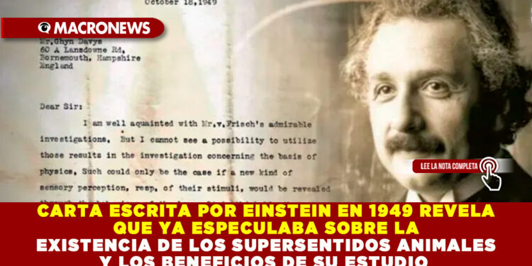 CARTA ESCRITA POR EINSTEIN EN 1949 REVELA QUE YA ESPECULABA SOBRE LA EXISTENCIA DE LOS SUPERSENTIDOS ANIMALES Y LOS BENEFICIOS DE SU ESTUDIO