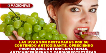 LAS UVAS SON DESTACADAS POR SU CONTENIDO ANTIOXIDANTE, OFRECIENDO PROPIEDADES ANTIINFLAMATORIAS, ANTICANCERÍGENAS Y CARDIOPROTECTORAS