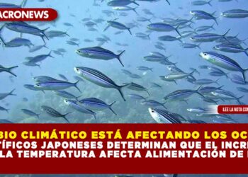CAMBIO CLIMÁTICO ESTÁ AFECTANDO LOS OCEÁNOS; CIENTÍFICOS JAPONESES DETERMINAN QUE EL INCREMENTO DE LA TEMPERATURA AFECTA ALIMENTACIÓN DE PECES