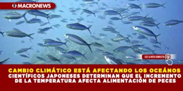 CAMBIO CLIMÁTICO ESTÁ AFECTANDO LOS OCEÁNOS; CIENTÍFICOS JAPONESES DETERMINAN QUE EL INCREMENTO DE LA TEMPERATURA AFECTA ALIMENTACIÓN DE PECES