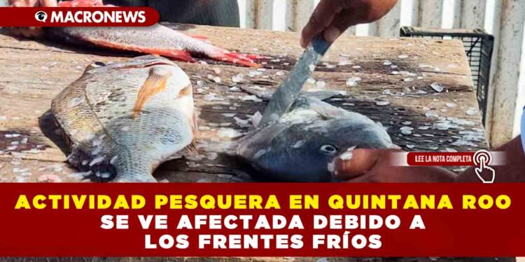 ACTIVIDAD PESQUERA EN QUINTANA ROO SE VE AFECTADA DEBIDO A LOS FRENTES FRÍOS