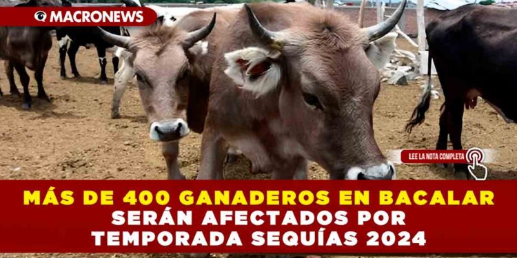 MÁS DE 400 GANADEROS EN BACALAR SERÁN AFECTADOS POR TEMPORADA SEQUÍAS 2024