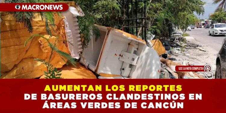 AUMENTAN LOS REPORTES DE BASUREROS CLANDESTINOS EN ÁREAS VERDES DE CANCÚN