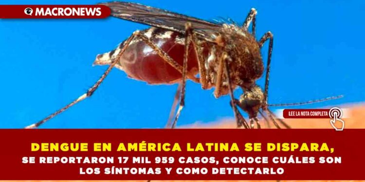 DENGUE EN AMÉRICA LATINA SE DISPARA, SE REPORTARON 17 MIL 959 CASOS, CONOCE CUÁLES SON LOS SÍNTOMAS Y COMO DETECTARLO