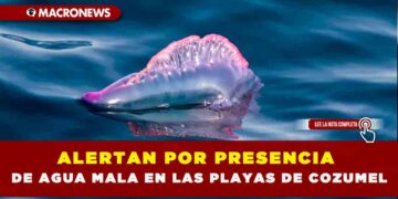 ALERTAN POR PRESENCIA DE AGUA MALA EN LAS PLAYAS DE COZUMEL