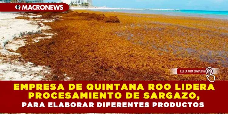EMPRESA DE QUINTANA ROO LIDERA PROCESAMIENTO DE SARGAZO, PARA ELABORAR DIFERENTES PRODUCTOS