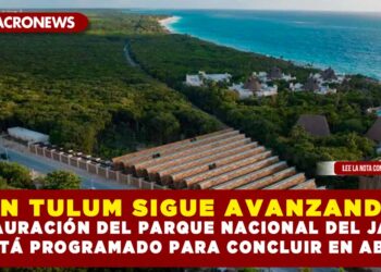 EN TULUM SIGUE AVANZANDO RESTAURACIÓN DEL PARQUE NACIONAL DEL JAGUAR ESTÁ PROGRAMADO PARA CONCLUIR EN ABRIL