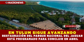 EN TULUM SIGUE AVANZANDO RESTAURACIÓN DEL PARQUE NACIONAL DEL JAGUAR ESTÁ PROGRAMADO PARA CONCLUIR EN ABRIL