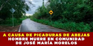 A CAUSA DE PICADURAS DE ABEJAS HOMBRE MUERE EN COMUNIDAD DE JOSÉ MARÍA MORELOS