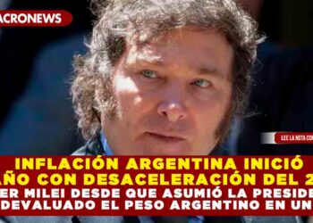 INFLACIÓN ARGENTINA INICIÓ EL AÑO CON DESACELERACIÓN DEL 20.6%; JAVIER MILEI DESDE QUE ASUMIÓ LA PRESIDENCIA HA DEVALUADO EL PESO ARGENTINO EN UN 54%