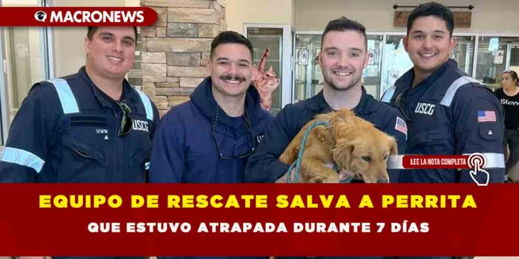 EQUIPO DE RESCATE SALVA A PERRITA QUE ESTUVO ATRAPADA DURANTE 7 DÍAS