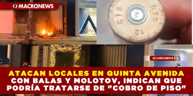 ATACAN LOCALES EN QUINTA AVENIDA CON BALAS Y MOLOTOV, INDICAN QUE PODRÍA TRATARSE DE «COBRO DE PISO»