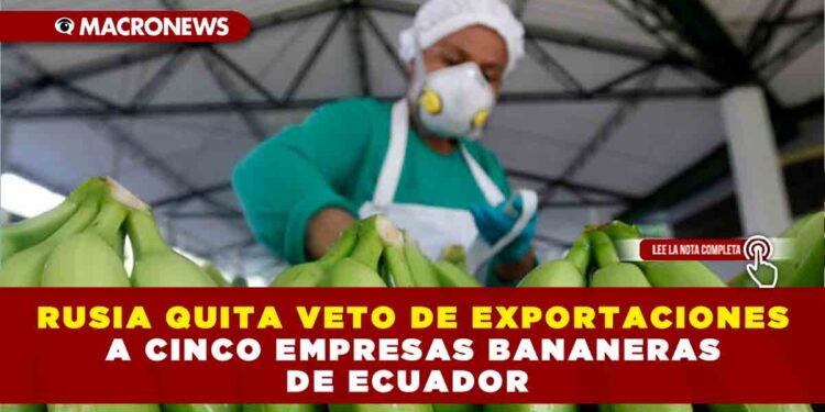 RUSIA QUITA VETO DE EXPORTACIONES A CINCO EMPRESAS BANANERAS DE ECUADOR