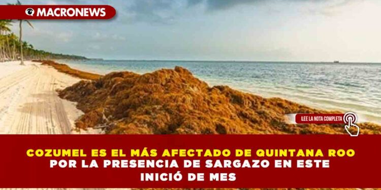 COZUMEL ES EL MÁS AFECTADO DE QUINTANA ROO POR LA PRESENCIA DE SARGAZO EN ESTE INICIÓ DE MES