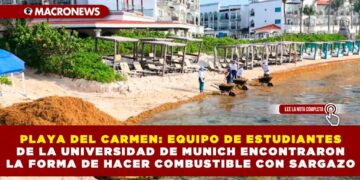 PLAYA DEL CARMEN: EQUIPO DE ESTUDIANTES DE LA UNIVERSIDAD DE MUNICH ENCONTRARON LA FORMA DE HACER COMBUSTIBLE CON SARGAZO