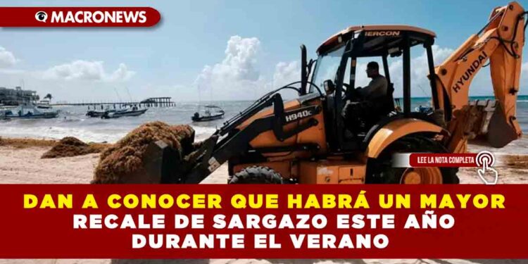 DAN A CONOCER QUE HABRÁ UN MAYOR RECALE DE SARGAZO ESTE AÑO DURANTE EL VERANO