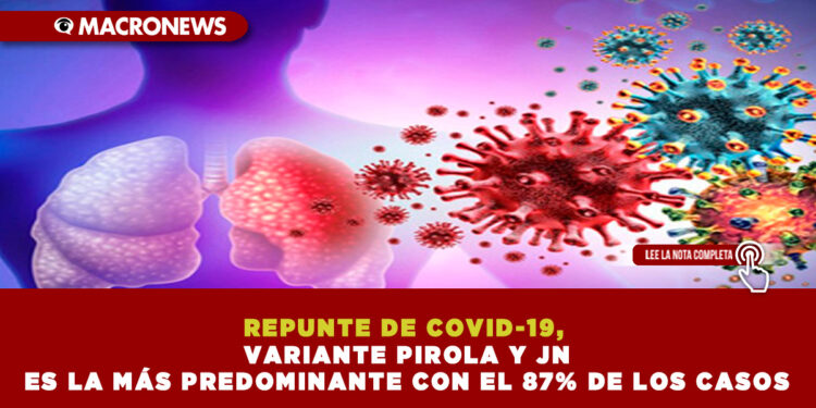 REPUNTE DE COVID-19, VARIANTE PIROLA Y JN ES LA MÁS PREDOMINANTE CON EL 87% DE LOS CASOS