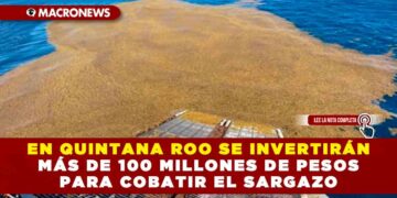 EN QUINTANA ROO SE INVERTIRÁN MÁS DE 100 MILLONES DE PESOS PARA COBATIR EL SARGAZO