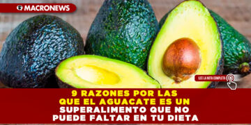 9 RAZONES POR LAS QUE EL AGUACATE ES UN SUPERALIMENTO QUE NO PUEDE FALTAR EN TU DIETA