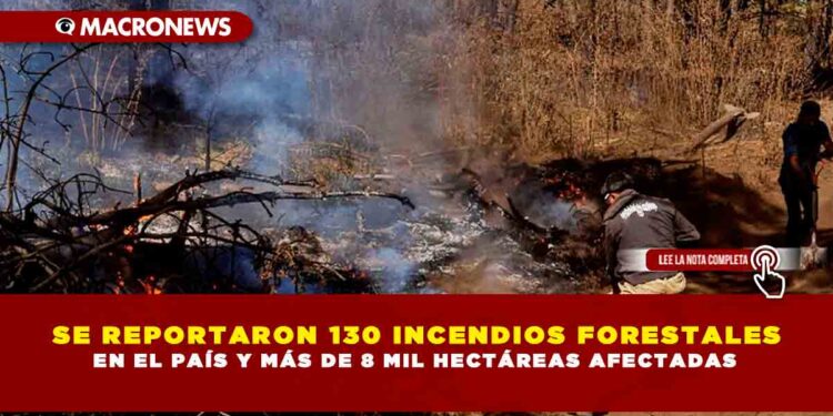 SE REPORTARON 130 INCENDIOS FORESTALES EN EL PAÍS Y MÁS DE 8 MIL HECTÁREAS AFECTADAS