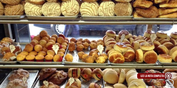 CUÁL ES LA FRECUENCIA RECOMENDADA PARA CONSUMIR PAN SIN QUE AFECTE TU SALUD, DE ACUERDO CON LA UNIVERSIDAD DE HARVARD