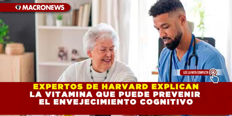 EXPERTOS DE HARVARD EXPLICAN LA VITAMINA QUE PUEDE PREVENIR EL ENVEJECIMIENTO COGNITIVO