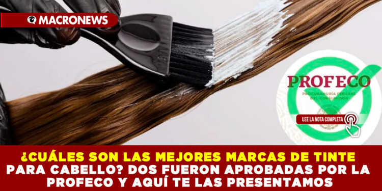 ¿CUÁLES SON LAS MEJORES MARCAS DE TINTE PARA CABELLO? DOS FUERON APROBADAS POR LA PROFECO Y AQUÍ TE LAS PRESENTAMOS