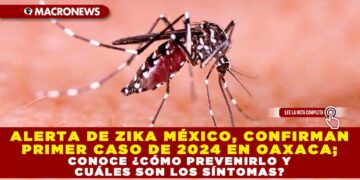 ALERTA DE ZIKA MÉXICO, CONFIRMAN PRIMER CASO DE 2024 EN OAXACA; CONOCE ¿CÓMO PREVENIRLO Y CUÁLES SON LOS SÍNTOMAS?