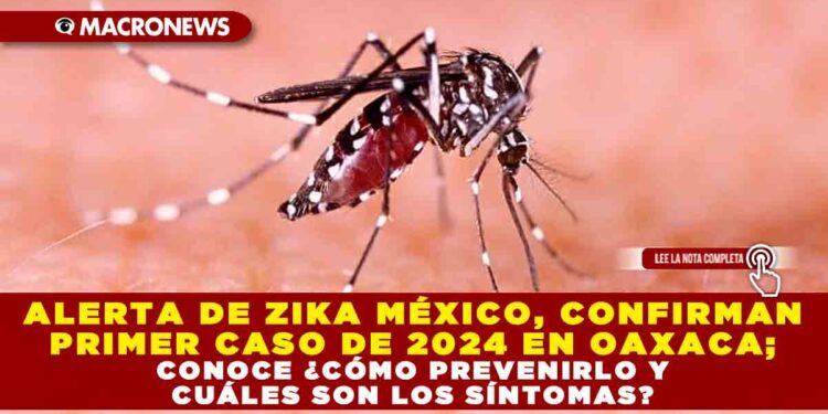 ALERTA DE ZIKA MÉXICO, CONFIRMAN PRIMER CASO DE 2024 EN OAXACA; CONOCE ¿CÓMO PREVENIRLO Y CUÁLES SON LOS SÍNTOMAS?