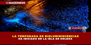 LA TEMPORADA DE BIOLUMINISCENCIAS HA INICIADO EN LA ISLA DE HOLBOX