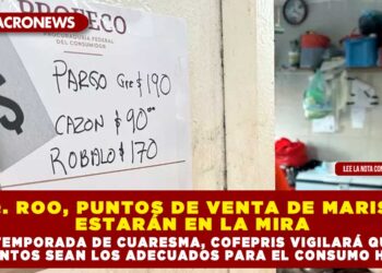 EN Q. ROO, PUNTOS DE VENTA DE MARISCOS ESTARÁN EN LA MIRA POR TEMPORADA DE CUARESMA, COFEPRIS VIGILARÁ QUE LOS ALIMENTOS SEAN LOS ADECUADOS PARA EL CONSUMO HUMANO