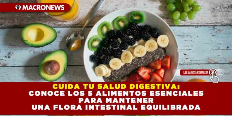 CUIDA TU SALUD DIGESTIVA: CONOCE LOS 5 ALIMENTOS ESENCIALES PARA MANTENER UNA FLORA INTESTINAL EQUILIBRADA