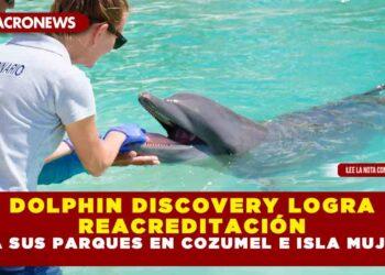 DOLPHIN DISCOVERY LOGRA REACREDITACIÓN PARA SUS PARQUES EN COZUMEL E ISLA MUJERES