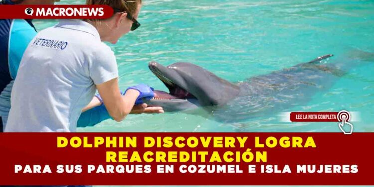 DOLPHIN DISCOVERY LOGRA REACREDITACIÓN PARA SUS PARQUES EN COZUMEL E ISLA MUJERES