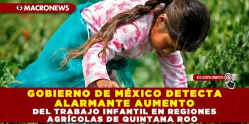 GOBIERNO DE MÉXICO DETECTA ALARMANTE AUMENTO DEL TRABAJO INFANTIL EN REGIONES AGRÍCOLAS DE QUINTANA ROO