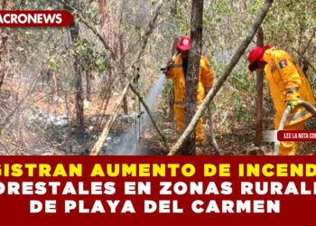 REGISTRAN AUMENTO DE INCENDIOS FORESTALES EN ZONAS RURALES DE PLAYA DEL CARMEN