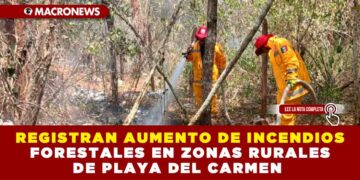 REGISTRAN AUMENTO DE INCENDIOS FORESTALES EN ZONAS RURALES DE PLAYA DEL CARMEN