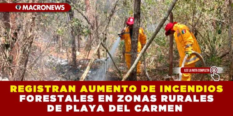 REGISTRAN AUMENTO DE INCENDIOS FORESTALES EN ZONAS RURALES DE PLAYA DEL CARMEN