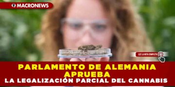 PARLAMENTO DE ALEMANIA APRUEBA LA LEGALIZACIÓN PARCIAL DEL CANNABIS