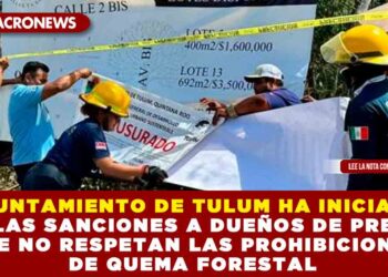 AYUNTAMIENTO DE TULUM HA INICIADO CON LAS SANCIONES A DUEÑOS DE PREDIOS QUE NO RESPETAN LAS PROHIBICIONES DE QUEMA FORESTAL