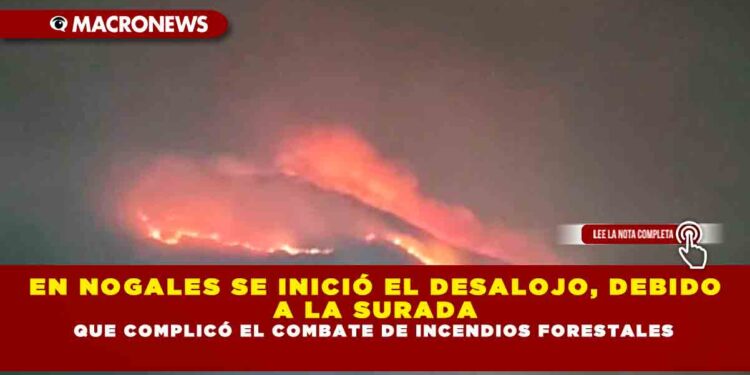 EN NOGALES SE INICIÓ EL DESALOJO, DEBIDO A LA SURADA QUE COMPLICÓ EL COMBATE DE INCENDIOS FORESTALES