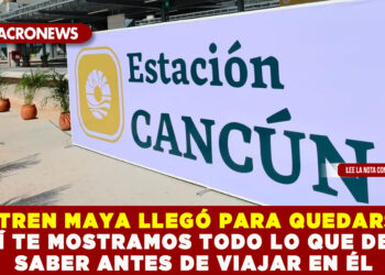 EL TREN MAYA LLEGÓ PARA QUEDARSE, AQUÍ TE MOSTRAMOS TODO LO QUE DEBES SABER ANTES DE VIAJAR EN ÉL