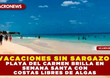 VACACIONES SIN SARGAZO: PLAYA DEL CARMEN BRILLA EN SEMANA SANTA CON COSTAS LIBRES DE ALGAS